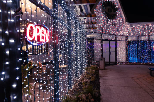 Christmas light business startup costs