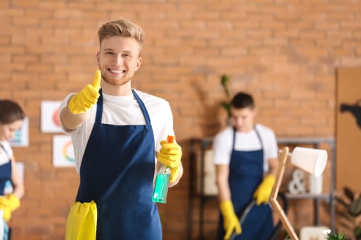 cleaning professionals