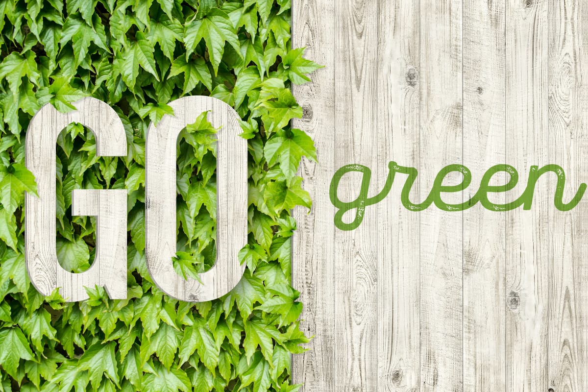 Go Green In The Workplace