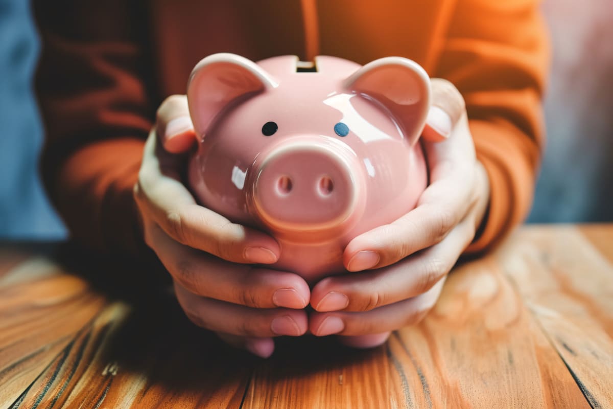 hands holding piggy bank