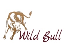 bull logo