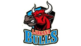 Larkana Bulls Logo