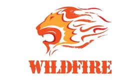 Wild Fire Lion Logo