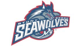 Seawolves Logo