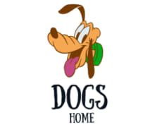 Dogs Home ZenBusiness logo