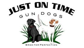 Just on Time Gun Dogs Logo