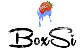 Box Si Logo