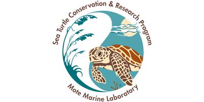 Sea Turtle Conservation Logo