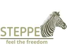 Steppe ZenBusiness logo