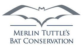 Merlin Bat Logo