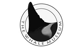 Whale Museum Logo