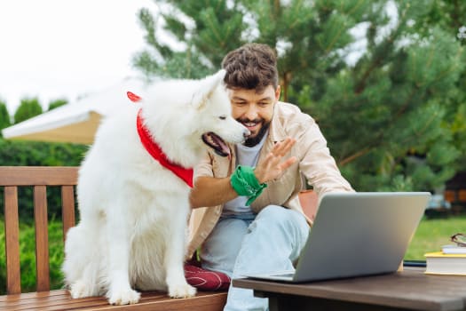 How to Start a Successful Pet Boarding Business