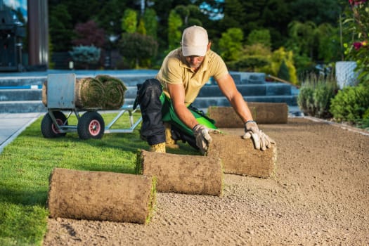 lawn care business