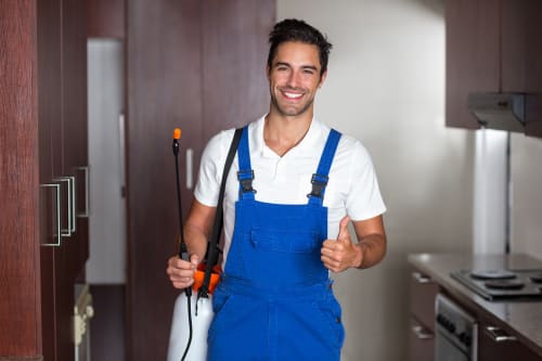 Start a Pest Control Business