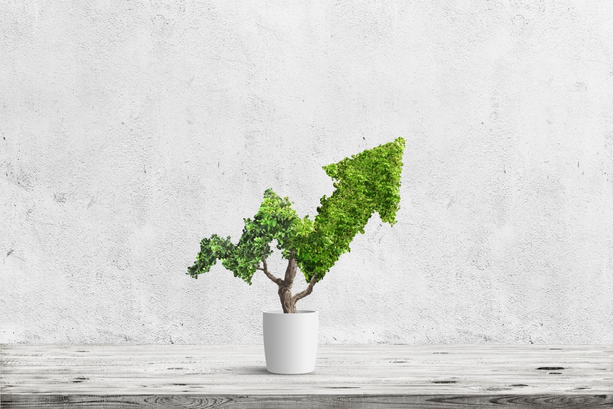 How To Keep Your Business Growing