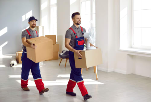 llc for moving company