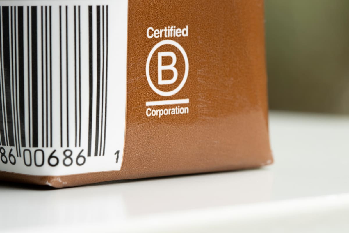 B Corp companies