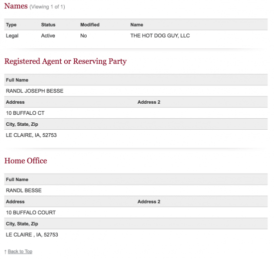 Iowa Secretary of State business entity name search details.