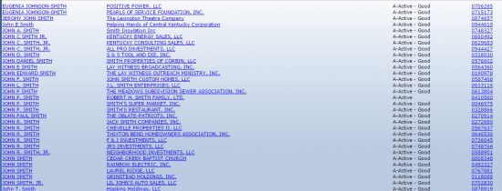 Kentucky Secretary of State business entity search by registered agent results.