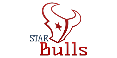 Star Bulls Logo