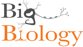 Big Biology Logo