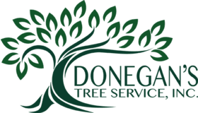 Donegans Tree Logo