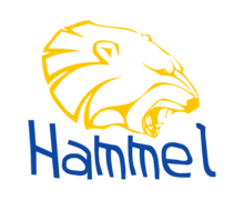 Hammel ZenBusiness logo