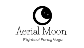 Aerial Moon Logo