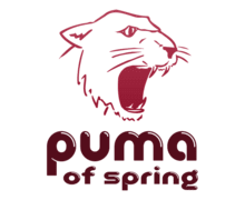 Puma of Spring ZenBusiness logo