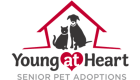 Young at Heart Logo