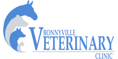 Bonnyville Veterinary Logo