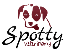 veterinarian logo