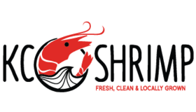 KCO Shrimp Logo