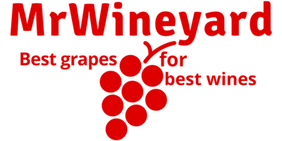 Mr Wineyard ZenBusiness logo