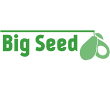 Big Seed ZenBusiness logo