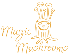 Magic Mushrooms ZenBusiness logo