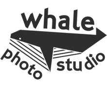 Whale Photo ZenBusiness logo