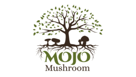 Mojo Mushroom Logo