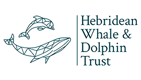 Whale And Dolphin Logo