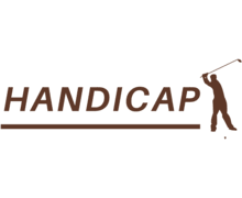 Handicap ZenBusiness logo