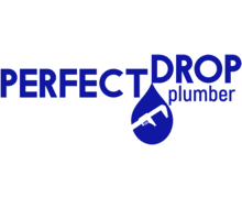 Perfect Drop ZenBusiness logo