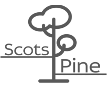 Scots Pine ZenBusiness logo