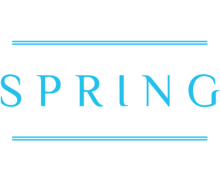 Spring ZenBusiness logo