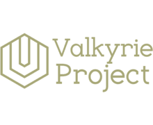 Valkyrie-project ZenBusiness logo