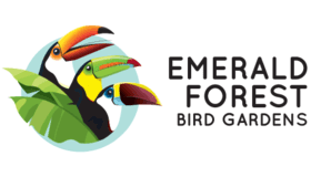 Emerald Forest Logo